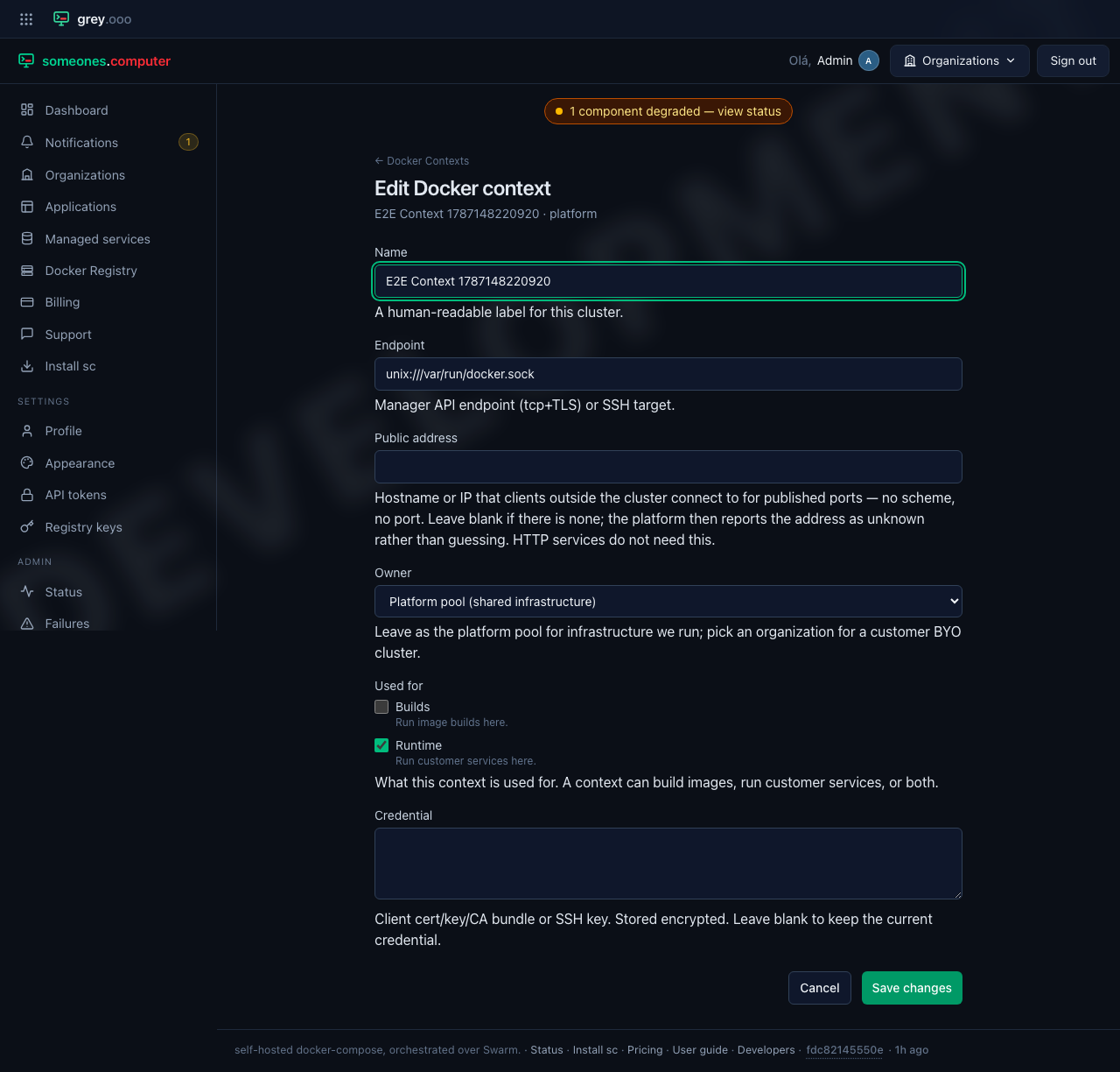 Editing a context: name, endpoint, public address, owner, status, and the "Used for" roles